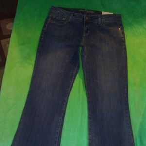 AE "Hipster Stretch LowRise Boot" 10 Short